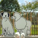 픽 앤 펫 애견 미용실 | 방콕 애견 동반 카페 티 팩토리 앤 모어｜강아지랑 방콕 파타야 여행 EP.24