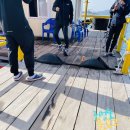 킹콩좌대 | 충남 당진 도비도항 무기수산 자연산 좌대낚시 후기