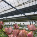 최대철농장 이미지