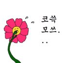 서울가이드 이미지