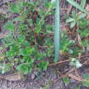 한마음약업사 이미지