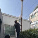 유인 이미지