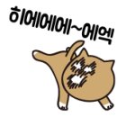 아이젠트리안경 향남점 네이버블로그