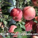 신성농장 이미지