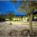 마이산 가자캠핑장 이미지