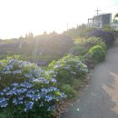 동광리-12 이미지