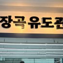 용인대 장곡 이미지