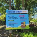 아이랑가볼만한곳 &#39;렛츠런파크 제주&#39; 몽생이 5월 대모험 무료입장/무료승마체험/수유실 정보