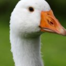 수정에너지 이미지