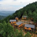 하동편백나무민박 이미지