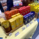 스윗밸런스 광화문점 | 올리브베러 광화문 방문 후기 - 올리브영의 웰니스 특화 매장