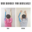 연세든든척의원 이미지