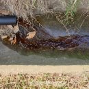 색달동-26 이미지