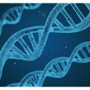 랙돌캐터리 이미지