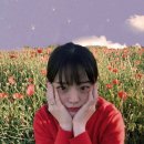 더하우스 이미지