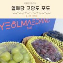 좋은열매어린이집 | 5만원대선물 과일 열매당 고당도 포도세트 샤인머스캣 아이간식