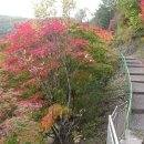 철암초등학교 이미지