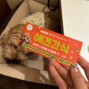 센트럴파크(방문자 센터) | 송도 애견동반식당 “다이너 송도점” 방문 후기