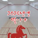 4.57스쿼시