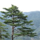 송수한의원 이미지