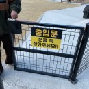파주 관리 잘 된 넓은 잔디 야외 운동장이 있는 애견카페 &#39;뛰뛰멍&#39; 방문후기