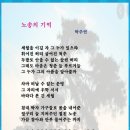 8월3째주 선정작-(노송)-탁주연 이미지