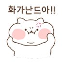 스파더원