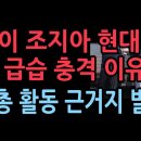 미국이 조지아 현대차 공장을 급습한 충격 이유, 민노총 활동의 근거지 부상 (2025.9.7) 성창경TV﻿ 이미지