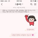 비빔데이 이미지