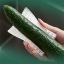 프롬솔