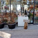 테라카페테라펜션 이미지