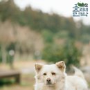 강림민박 이미지