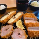 삼백돈돈가츠 | 고잔동 점심 맛집 삼백돈돈가츠 고잔점 돈가츠 후기