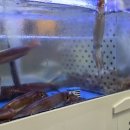 봉우재로 240 이미지