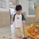 🤎세시풍속 - 중양절🤎 이미지