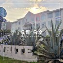 화이트하우스 | 바다와 비행기를 함께 볼 수 있는 제주시 숙소 화이트하우스 솔직 후기
