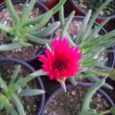 신월농장 이미지