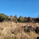 원오클락 이미지