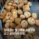 예가 | 착한가격업소 삽교 곱창거리 맛집 예가곱창 후기