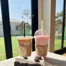 털로덮인친구들 달서점 | [용인/애견카페] 주말 나들이로 딱! '더포레스트테일' &amp; '털로덮인친구들' 방문 후기 (with 까미)