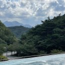 포레스트 리솜 이미지