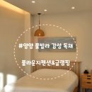 영흥도펜션타운 C동 | [강원 양양]풀라운지펜션&amp;글램핑, 루프탑 수영장 감성 독채 개별테라스 양양 신축펜션