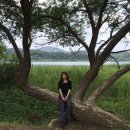 물맑음 펜션 이미지