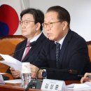 당연이 이미지