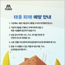 용인대 꿈누리 태권도 이미지