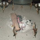 물고기식당 이미지