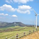 한회목장 이미지