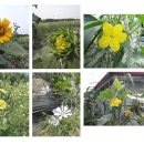 정다운 민박 이미지