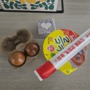 (주)휴스퀘어 | 10월 둘째주 일상┊연휴 일상, 더현대서울, 강화도...성시경 먹을텐데 동강나루터, 영등포 타임스퀘어 쇼핑