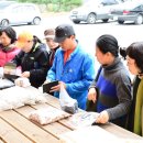 회동2리청옥산깨비마을